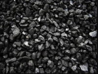 Premium Indonesian Steam Coal