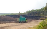 Best Quality Steam Coal