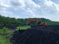 Steam Coal from Indonesia